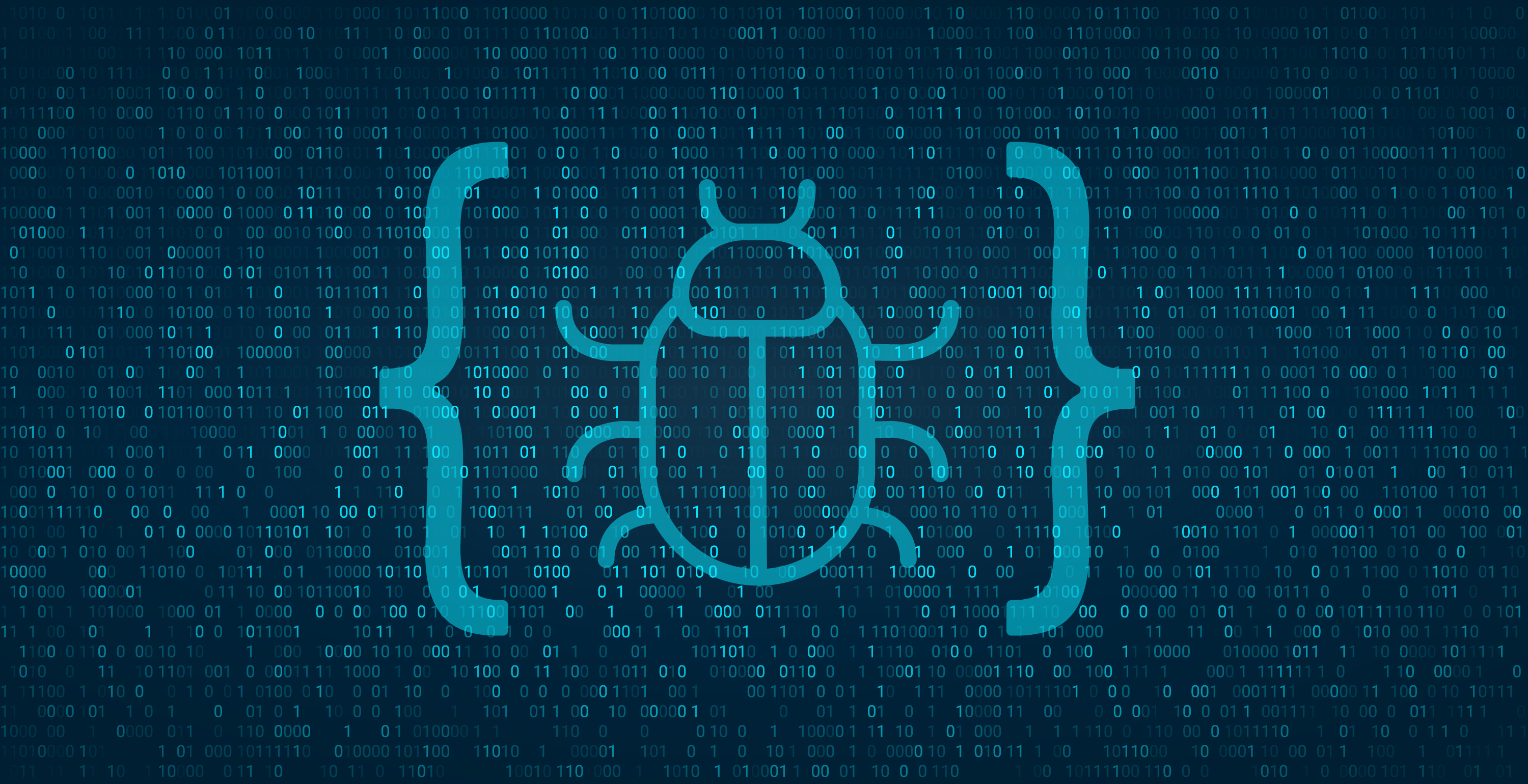 Biz bug bounty loyihasini e'lon qilamiz